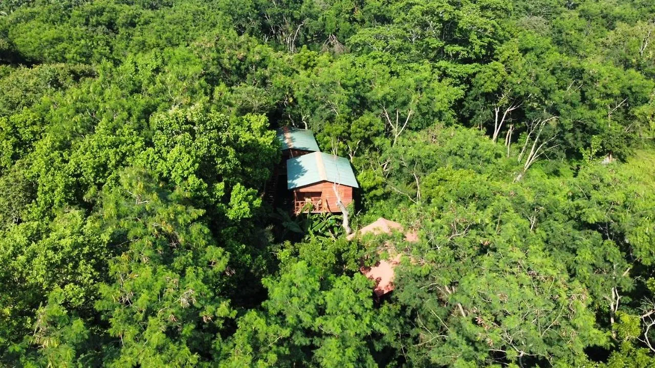 Tree House Hostel Sigiriya Sri Lanka