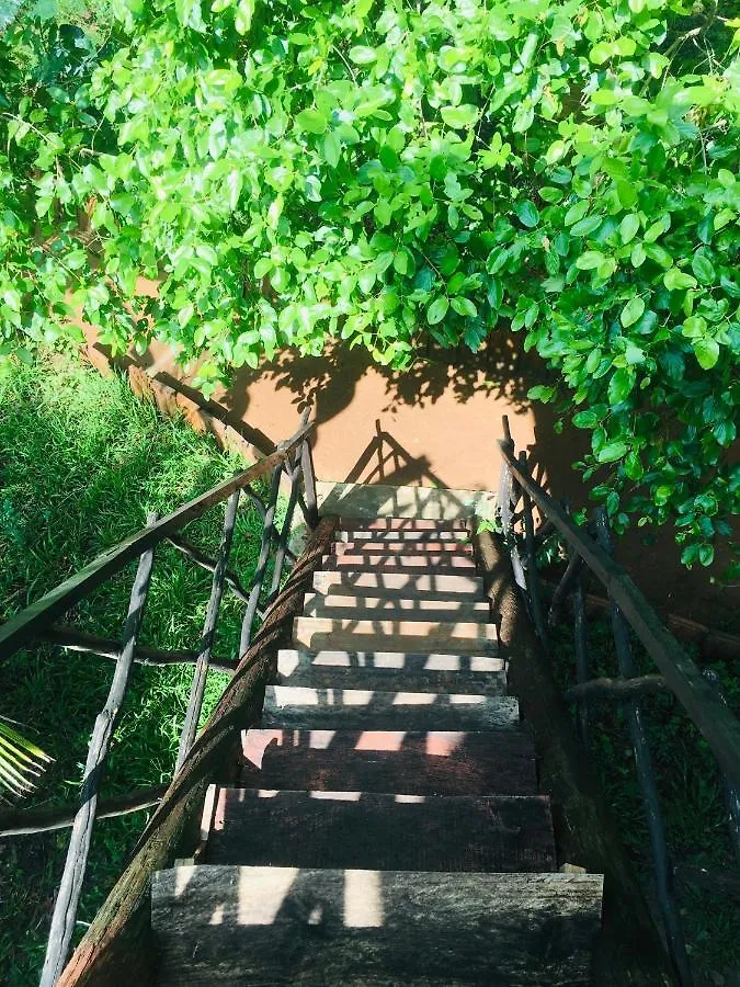 Tree House Hostel Sigiriya Sri Lanka