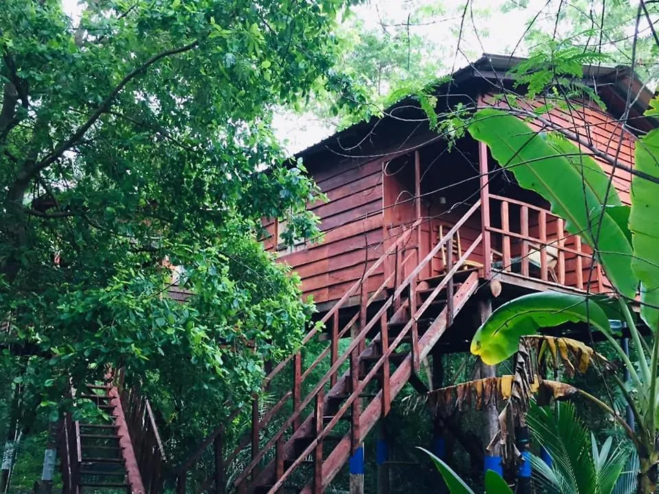 Tree House Hostel Sigiriya Sri Lanka