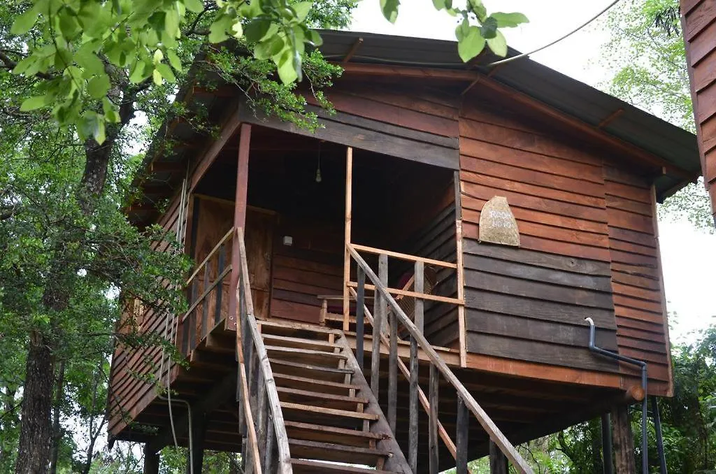 Tree House Hostel Sigiriya Sri Lanka